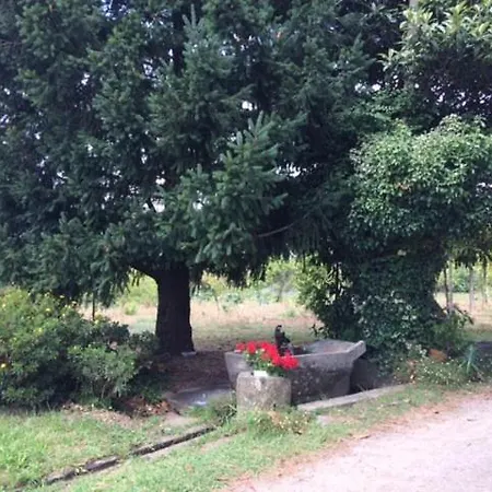 Casa Pardal * א-קורוניה